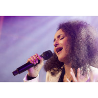  Neumann/诺音曼 无线麦克风 咪芯音头