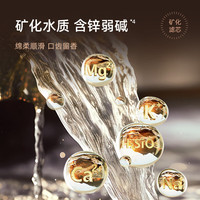 贝昂 净饮机台式净水器免安装家用净水机反渗透即热式直饮机  R100