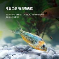 百因美异型底栖鱼胡子大帆清道夫鼠鱼底栖鱼下沉沉底型鱼食高营养高蛋白 鼠鱼小饼70g(3mm左右片状)