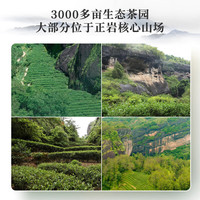 曦瓜乌龙茶燕子窠武夷岩茶水仙 中轻火礼盒装