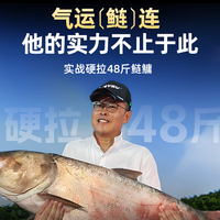 创威赢战鱼竿轻量大物竿大综合竿鲢鳙鱼竿手竿超轻硬台钓竿钓鱼竿手竿 3.6m 小锥度 双竿稍