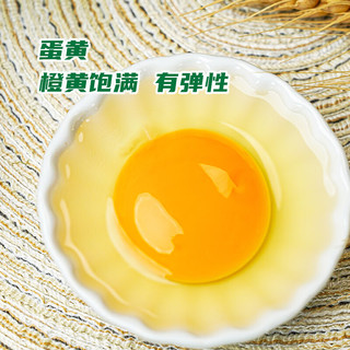 九華粮品有机减醇鸡蛋30枚 净重2.4斤 鲜蛋礼盒 林区散养 获有机认证