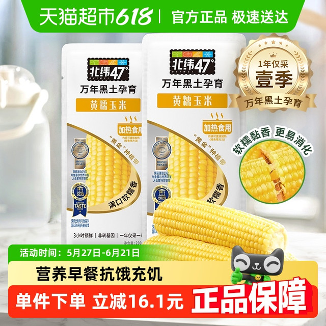 北纬47° 北纬47度黄糯鲜食玉米东北黑龙江甜玉米真空包装苞米棒