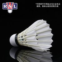 亚狮龙羽毛球100新款定制球鹅毛全圆室内外娱乐训练球专业比赛稳定耐打 亚狮龙100鹅毛耐打76速12只装 1筒