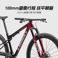 SPECIALIZED闪电 S-WORKS EPIC WORLD CUP 避震软尾山地自行车 29英寸 12速