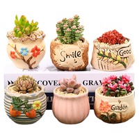 多肉植物组合桌面室内小盆栽含陶瓷花盆土老桩玉露桃蛋肉肉植物