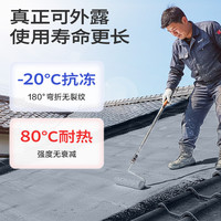 嘉宝莉（CARPOLY）防水涂料屋顶防水胶补漏材料高弹性丙烯酸房顶水泥色防水20kg