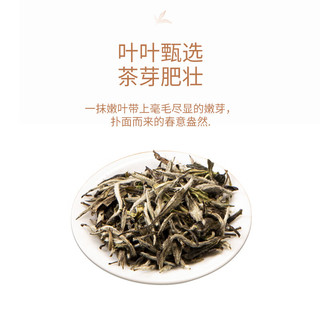 鼎白茶业2020特级牡丹100g礼盒装福鼎白茶散茶可冷泡花果香甜高端大气 特级白牡丹2020年50g