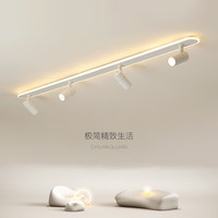 黑控 射灯led轨道灯北欧家用客厅天花筒灯明装衣帽间服装商用射灯 哑黑 3头【120CM】白光