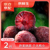 京鲜生 东魁杨梅 单果14-20g 1kg