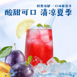 鲜丰春 酸梅汤粉原料包 500g 袋装