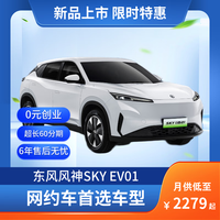 东风风神 SKY EV01 445km PRO 陶瓷白 新能源汽车