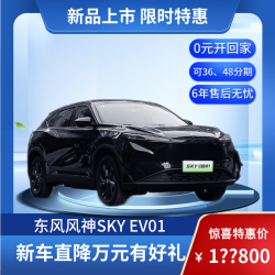 东风风神 SKY EV01 445km PRO 端砚黑 新能源汽车