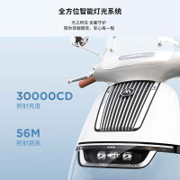 爱玛 Q7 电动自行车 TDR2249Z