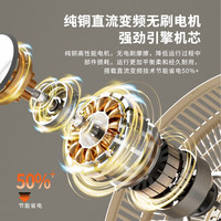 先锋(SINGFUN)【直流变频】智能语音电风扇家用落地扇一级能效平面扇摇头电扇节能省电多叶大风量ZCR07S
