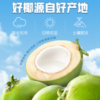 轻上 LIGHT UP椰子水100% 400ml*12瓶NFC电解质水含泰国椰整箱 【30瓶】✅家庭放心囤✅100%椰子水245ml