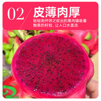 果燃彬彬海南金都一号红心火龙果2/5斤整箱大果新鲜当季红肉密宝 【特大果】单果约8两以上 净果3斤