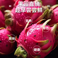 果燃彬彬海南金都一号红心火龙果2/5斤整箱大果新鲜当季红肉密宝 【大果】单果约6-8两 净果5斤（JD/快递）