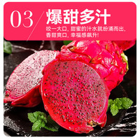 果燃彬彬海南金都一号红心火龙果2/5斤整箱大果新鲜当季红肉密宝 【中果】单果约4-6两 净果5斤