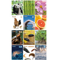 小聪仔2025年2024年2022年科普版幼儿版启蒙版合辑 1-12月份期刊杂志2-6-8岁宝宝孩子小启蒙认知早教亲子共读科普百科书籍 【赠知识卡+游戏书】2025年全年