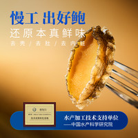 张珍记鲍鱼鲜活冷冻新鲜黄金盐磨鲍鱼肉冰冻黄金鲍素特大鲜鲍