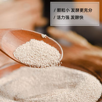 安琪耐高糖型高活性干酵母粉 商用做面包西式面点发酵粉 烘焙原料