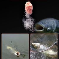 龙王恨金版浮钓鲢鳙鱼饵料大头鱼花鲢白鲢手竿野钓水库黑坑鱼食钓饵 金版浮钓鲢鳙(450克)1包