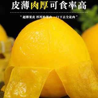 三萌果蔬 蒙阴黄桃 山东当季新鲜黄毛桃现摘桃子水果 精选5斤装净重4.5斤