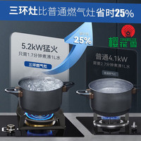  樱花雪 5.2KW猛火 燃气灶  天然气(12T)