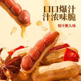 HUANG FEI HONG/黄飞红 麻辣花生 258g 1袋