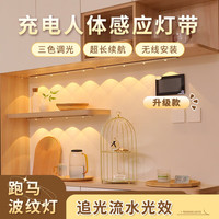 心有所属（Heart LocK）人体感应灯带磁吸充电橱柜灯入户玄关氛围小夜灯厨房鞋衣酒柜灯条