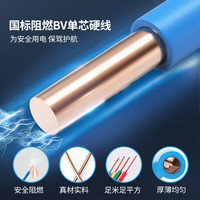 正泰（CHNT）阻燃电线BV2.5/4/6平方单股铜芯电线 电缆线国标电源线家用铜芯线 黑色BV2.5  100米