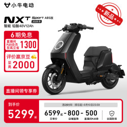 小牛电动 NXT sport ABS版 电动自行车 TDR2135Z