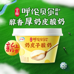 伊利 宫酪呼伦贝尔奶皮子酸奶 138g*12杯
