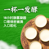 伊利 宫酪呼伦贝尔奶皮子酸奶 厚奶皮发酵乳 奶皮子138g*12杯
