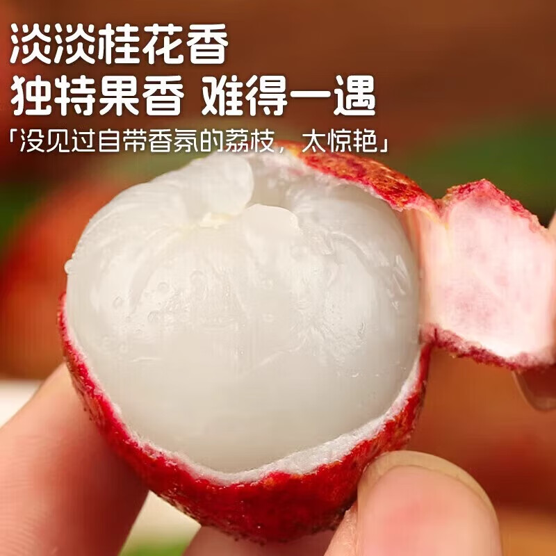 蒲恋海南妃子笑荔枝【多地次日达】当季新鲜水果爆甜送礼端午节 【很划算】丨净重 精选级果 很甜尝鲜