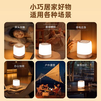 智能语音控制小夜灯充电款声控感应卧室床头睡眠儿童定时台灯家用