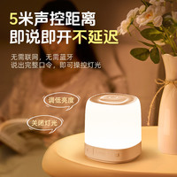 智能语音控制小夜灯充电款声控感应卧室床头睡眠儿童定时台灯家用