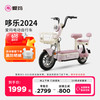 爱玛 哆乐48V12AH可提取锂电池成人电动自行车 到店选色提车