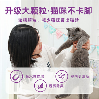 蓝梦（EVER DREAM）天然钠基矿砂低尘活性炭去异味强吸水膨润土猫砂桶装 猫砂紫袋4.55kg（无嘴）
