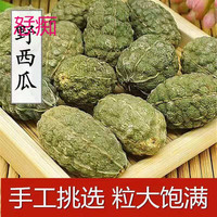 果麓香野西瓜新疆特产野西瓜野生小西瓜中材泡酒料产地直发新货 野西瓜100克