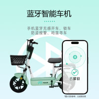 移动端、京东百亿补贴：飞鸽 E75智能电动自行车45公里长续航电动车铅酸电池48V12Ah电瓶车新国标上班代步源彩青竹绿