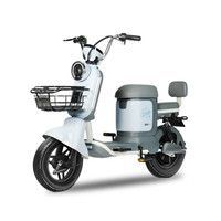 宝岛新国标电动自行车N16 48V24AH锂电池续航80公里代步电瓶车出勤畅享 天空蓝【裸车款自行配电池】