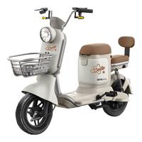 宝岛新国标电动自行车N16 48V24AH锂电池续航80公里代步电瓶车出勤畅享 奶油白【裸车款自行配电池】