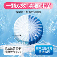 绿伞双效洁厕宝 玫瑰香氛 杀菌洁厕块马桶除垢除臭清洁剂 38g*5块