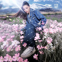 李宁 LI-NING云游C4D低帮运动休闲鞋女时尚潮流鞋子耐磨滑板鞋防滑运动鞋 【B款】羊绒灰-2 37