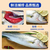 渔吻 新鲜海鲈鱼3条装鲜活冷冻七星深海鲈鱼花鲈鱼生鲜鱼类鱼礼盒端午 开背鲈鱼400-450g/条*4 开背鲈鱼450g*1条