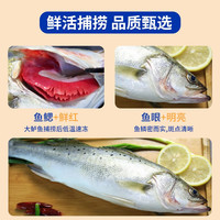 渔吻 新鲜海鲈鱼3条装鲜活冷冻七星深海鲈鱼花鲈鱼生鲜鱼类鱼礼盒端午 开背鲈鱼400-450g/条*4