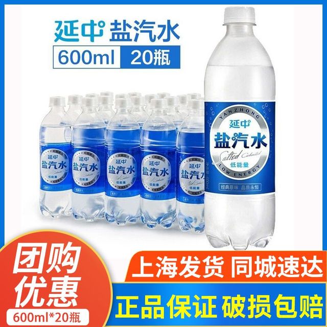 延中 盐汽水 600ml*20瓶