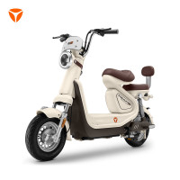 雅迪 冠能6代 C60-D 电动自行车